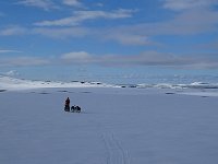 Dog sledding on mountain plateau