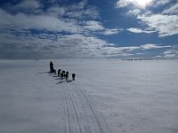 Dog sledding on mountain plateau