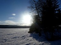 Scenery on lake near cabin