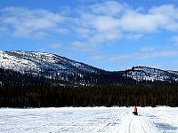 Dog sledding on lake