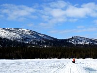 Dog sledding on lake