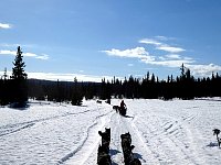 Wide trail near forest