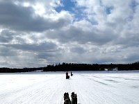 Almost at the kennel near the end of the final lake