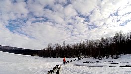 Dog sledding from lake into forest