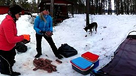 Carrying sausages for dog feeding