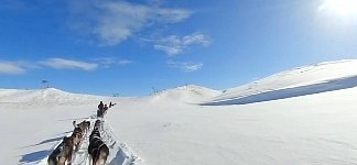 Dogsledding in Padjelanta National Park on a sunny day