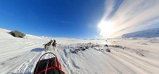 Dogsledding in Padjelanta National Park on a sunny day