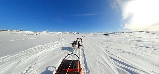 Dogsledding in Padjelanta National Park on a sunny day