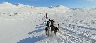 
Downhill and out of Padjelanta National Park></A><A HREF=