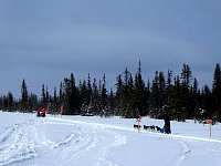 Hanging behind the other three sleds