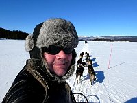 Selfie with dog sled and sled dogs