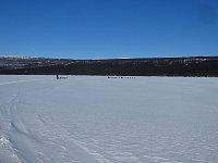 Sleds heading from the lake to the forest