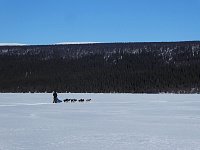 Sleds heading from the lake to the forest