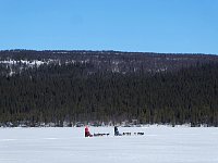 Sleds heading from the lake to the forest