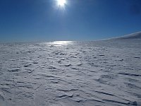 Snow glittering in the sun