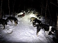 Feeding in the dark