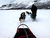 Dog team passing with Sarek National Park on the left