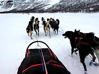 Dog team passing with Sarek National Park on the left