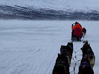 Crouching behind the sled to be out of the wind