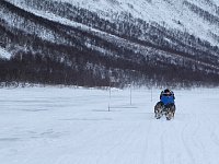 Crouching behind the sled to be out of the wind