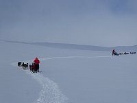 Running up that hill...