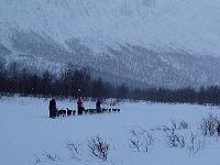 Snow on the way to Kvikkjokk