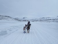 Crouching behind the sled to be out of the wind