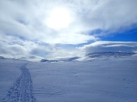 Dogsledding in Padjelanta National Park on a sunny day