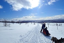 Looking back towards Ammarnaes