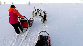 Constanze overtaking with her sled