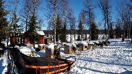 Sled with doghouses