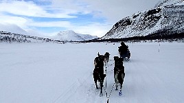 Crouching behind the sled to be out of the wind