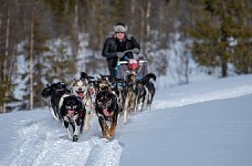 Pedaling with large team