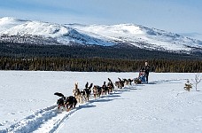 Me with big team and mountain background