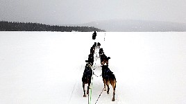 Starting to snow along the track