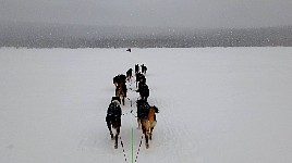 Snowy day at Overst-Jugtan lake