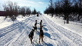 Wide snowmobile track