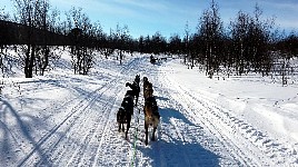 Wide snowmobile track