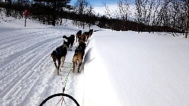 Running close to the edge of the trail