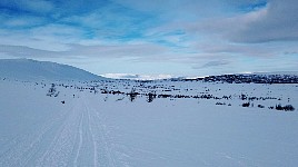 Mountain plateau - view back towards Ammarnaes