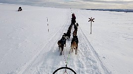 Meeting a snowmobile on the road