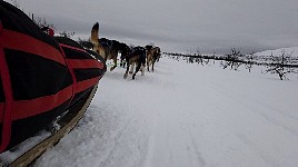 Sled side view