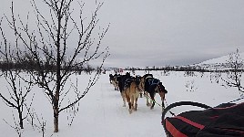 Sled side view