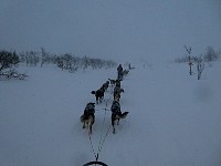 Wind and snow near Umnaes