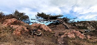 Kullaberg nature reserve