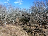 Kullaberg nature reserve