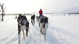 On the trail to Viktoriakyrkan