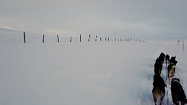 Mountain plateau towards Ammarnaes