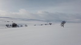 Near Fierras mountain