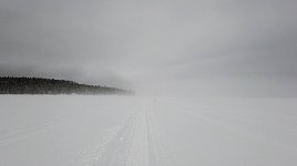 Foggy lake